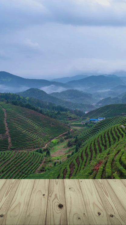 Darjeeling Premium  Green Tea